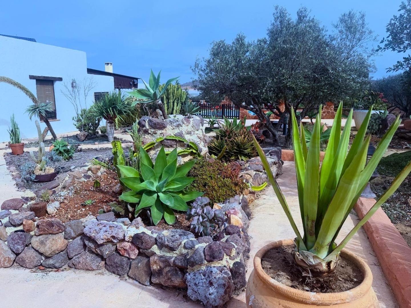 Olivares Rural Los Albaricoques Exterior foto