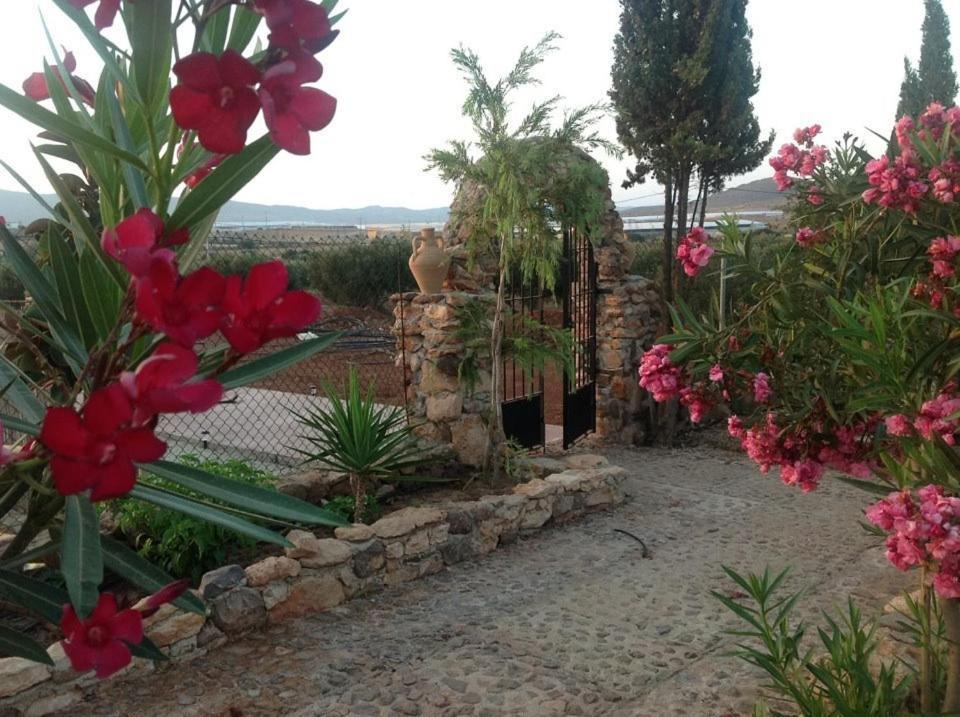 Olivares Rural Los Albaricoques Exterior foto